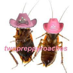 UwU gworls