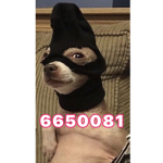 Delia robux spenndings
