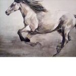 IheartHorses