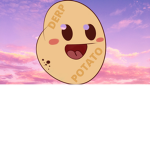 THE DERP POTATO SQUAD ._.