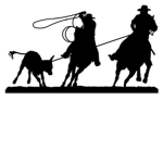 Western Bull Riders