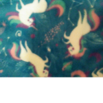 Unicorns are nice