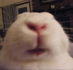 Snowy’s private group