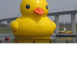 TEH DUCK POWER
