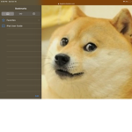 US Doge fan club!