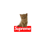 Freue robux group