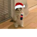 xxlah