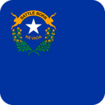 State of Nevada ᅠᅠᅠᅠᅠ