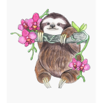 The Hanging Sloths
