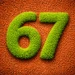 Grow Grass Game! icon