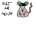 Rat and Mouse