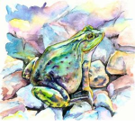 #Frog #####