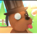 YIU YIU