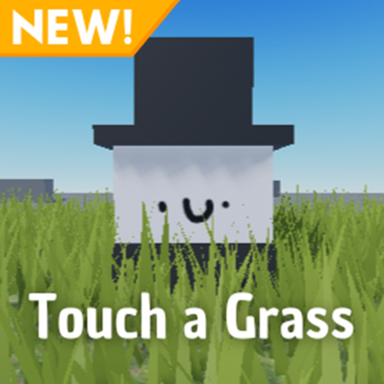 Touch a Grass