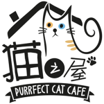 The Purr-Fect Cat Cafe😺