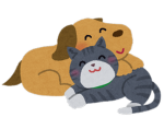 猫犬グループ！