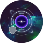 Nelsa Security