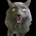 Cat space