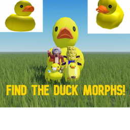 Find The Duck Morphs!
