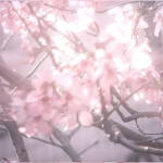 Moonlight_forever