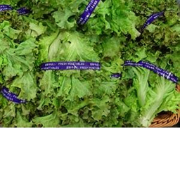 another lettuce church