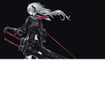 Die NInjas