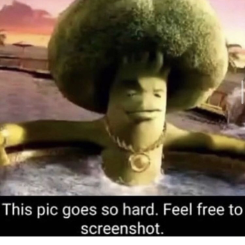 My Awesome Pictures (UPDATE) (2 LIKES)