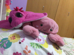 My pet nuggie :D