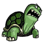 OGturtlegang>:)