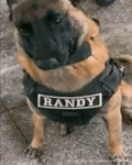 Bark®
