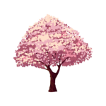 såkura