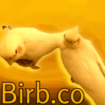 Birb.co
