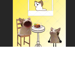 the cat grill
