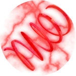 Superior speed coil (NEW)