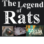 - Rat Gang -