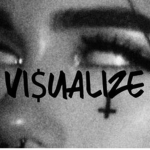 VI$UALIZE