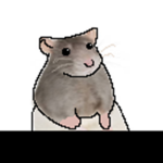 Rat Community