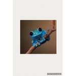 Da Froggies