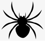 The scary spiders
