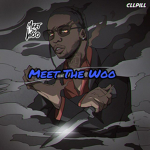 Meet The Woo Community V2