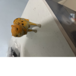 RobloxRblx Group