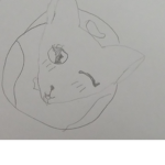 Wolf Creation Studio's