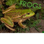 ..FROGS..UNITED..