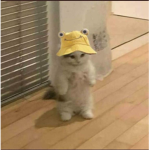 Ponisalbage
