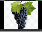Grape Kingdom.