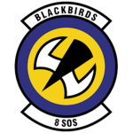 8th Speciαl Operations Squadronᅠᅠ