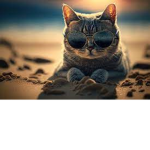 LAZY chilling CATS
