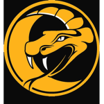 Viper-Do Academy