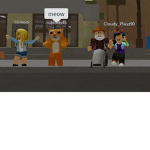 Devs Company
