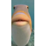 Your welcomed here
